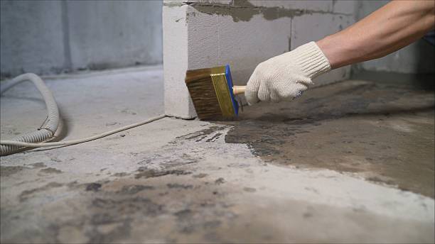 24/7 Emergency Vapor Barrier Installation experts in Williamstown, KY
